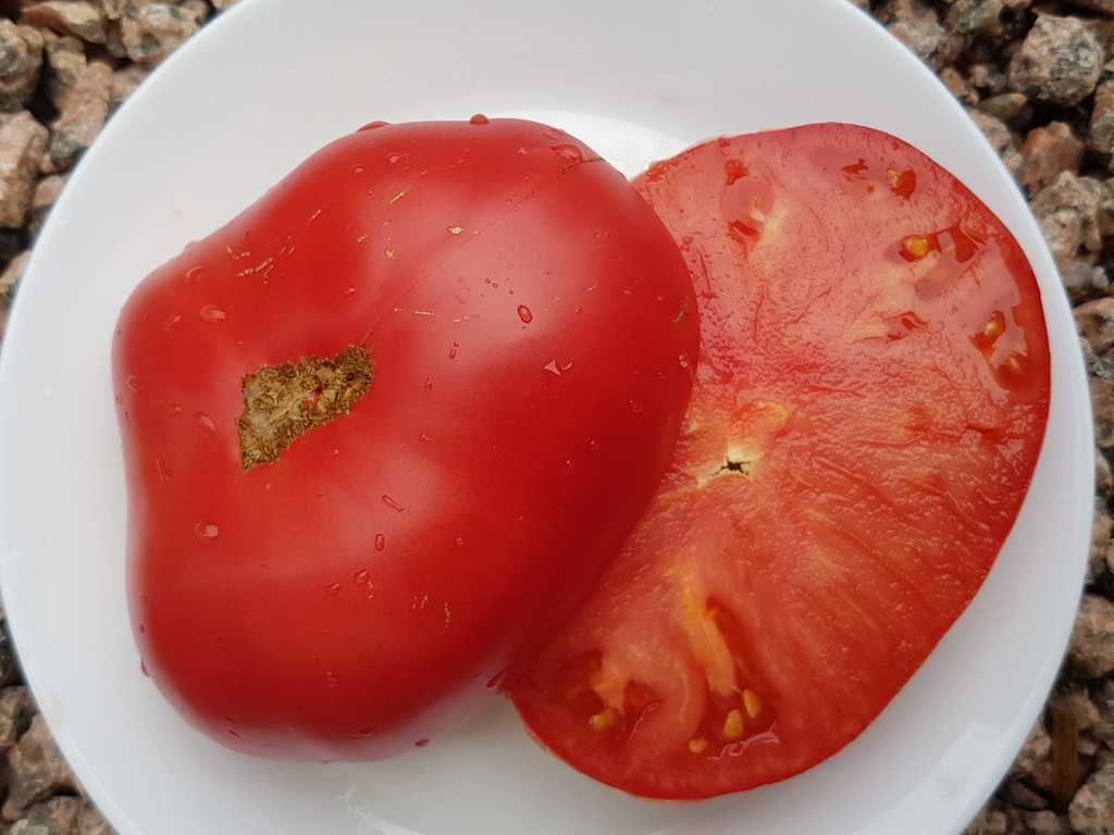 Baba Shura (Gumma Shura)